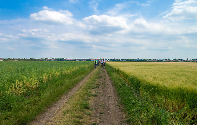 Panorama von einem Feld, Foto Topel