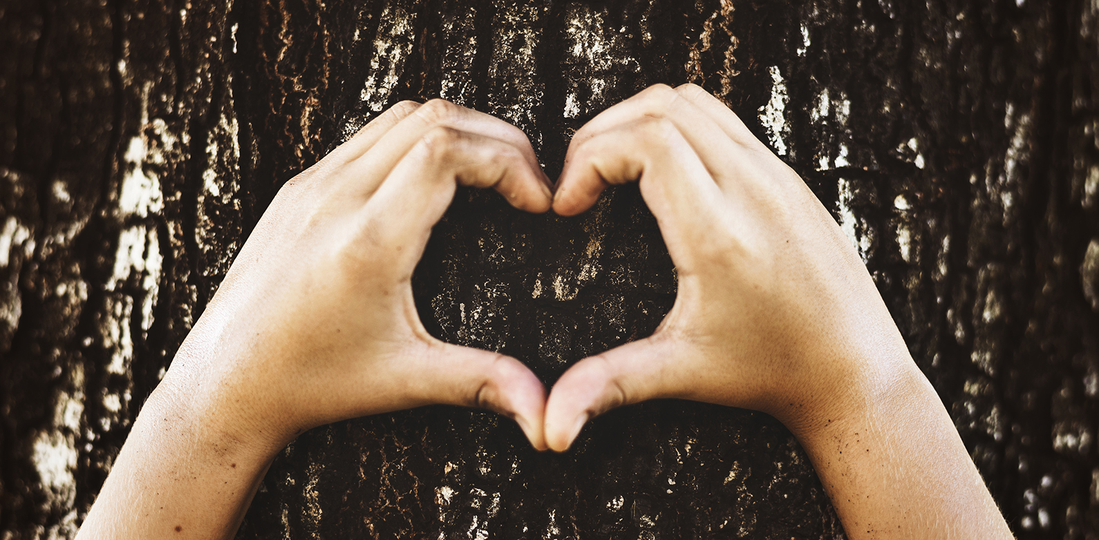 Ein Herz aus Händen geformt, vor einem Baum, Foto: Rawpixel.com