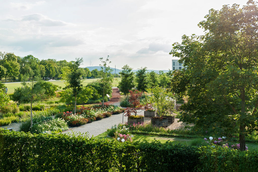 Beitrag der Baumschulen, Foto: JohannHinrichsFotografie