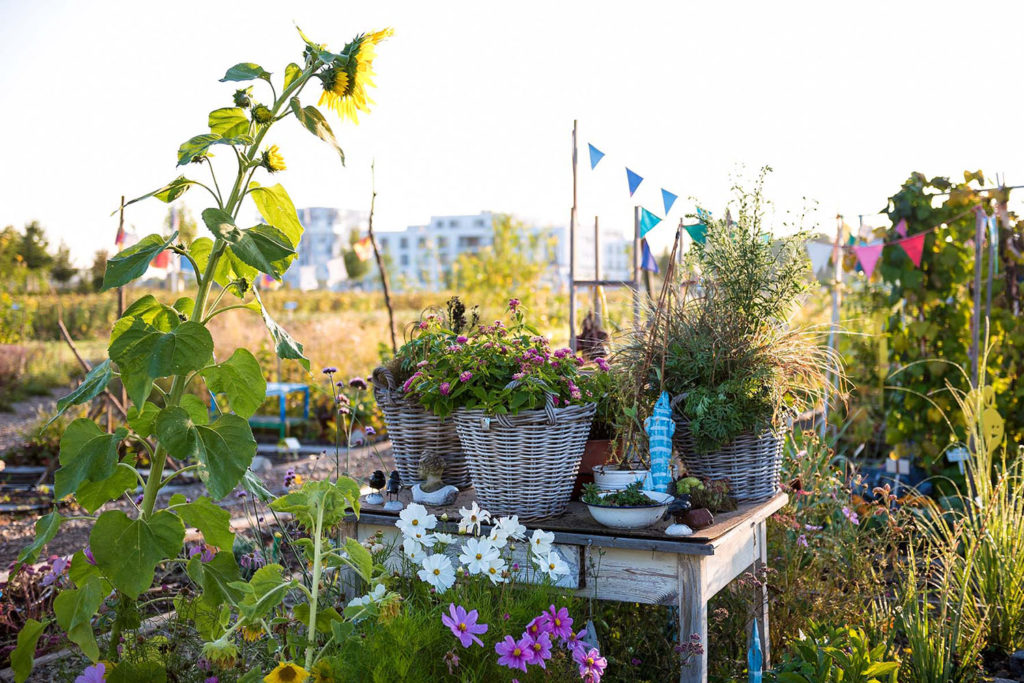 Bürgergärten, Tisch mit Korb mit Blumen, Wimpelkette im Hintergrund, Foto Johann Hinrichs Fotografie